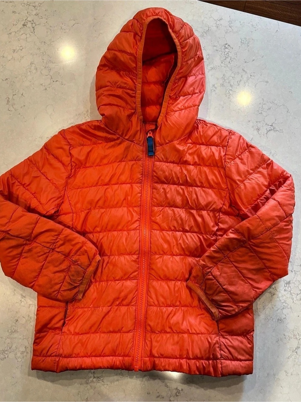 Primary Hooded Puffer Jacket 6-7